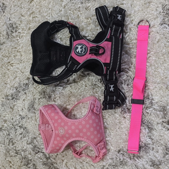 Two harnesses and one collar for puppies - Picture 1 of 4
